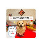 チワックスのてん②（個別スタンプ：15）