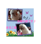 もるかのラブラブファミリー（個別スタンプ：4）