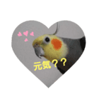 ぴょこたん2（個別スタンプ：6）