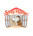 ハート猫の激かわスタンプ（個別スタンプ：4）