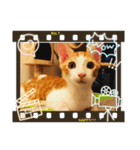 ハート猫の激かわスタンプ（個別スタンプ：5）