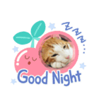 ハート猫の激かわスタンプ（個別スタンプ：7）