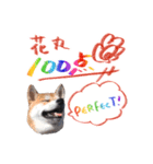 柴犬 空丸＆花丸（個別スタンプ：26）