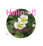 ろ～こ's（個別スタンプ：1）