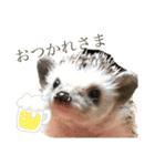 ハリネズミそらちゃん*°♡（個別スタンプ：8）