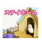 ステイホームな文鳥（個別スタンプ：7）