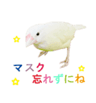 ステイホームな文鳥（個別スタンプ：16）