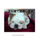 ろまねすくすく（個別スタンプ：5）