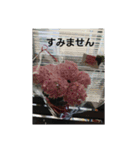 ろまねすくすく（個別スタンプ：6）