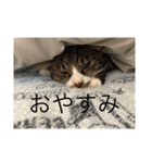 コバ（ネコ）のスタンプ！！（個別スタンプ：4）
