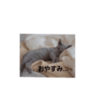ねるるな。（個別スタンプ：8）