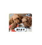 ひと言わんちゃんず2（個別スタンプ：4）