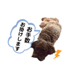 ひと言わんちゃんず2（個別スタンプ：7）