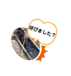 ひと言わんちゃんず2（個別スタンプ：9）
