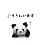 おうちにいます（上野はまた今度ね）（個別スタンプ：3）