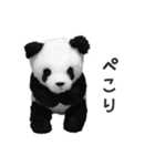 おうちにいます（上野はまた今度ね）（個別スタンプ：6）