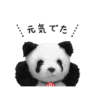 おうちにいます（上野はまた今度ね）（個別スタンプ：11）