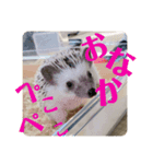 おはぎびより（個別スタンプ：3）