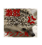 おはぎびより（個別スタンプ：6）