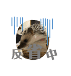 おはぎびより（個別スタンプ：7）