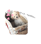 MAUDESUKEDO（個別スタンプ：2）