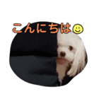 おブスなしろくま（個別スタンプ：2）