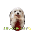 おブスなしろくま（個別スタンプ：6）