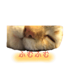 たろちゃん日記 1（個別スタンプ：3）