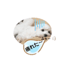 ぷうたろうでございます。No.4（個別スタンプ：3）