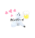 ぷうたろうでございます。No.4（個別スタンプ：5）