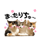 popokina（個別スタンプ：8）