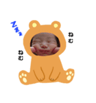 sayu style（個別スタンプ：3）