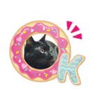 暴とポコ（個別スタンプ：7）