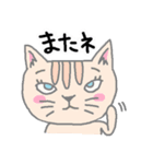 うれしいたのしい喜怒哀楽キャッツ（個別スタンプ：19）