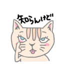 うれしいたのしい喜怒哀楽キャッツ（個別スタンプ：20）