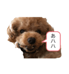 可愛い❤️ワンちゃん7（個別スタンプ：7）
