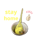癒されインコのかわいいスタンプ（個別スタンプ：5）
