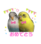 癒されインコのかわいいスタンプ（個別スタンプ：7）