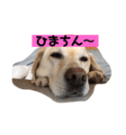 癒しのおからくん（個別スタンプ：2）