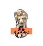 癒しのおからくん（個別スタンプ：4）