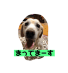 癒しのおからくん（個別スタンプ：6）
