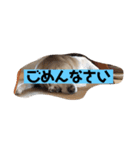 癒しのおからくん（個別スタンプ：7）