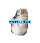 癒しのおからくん（個別スタンプ：8）