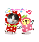 トキにゃんこスタンプ（個別スタンプ：3）