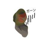 我はコザクラなインコなり（個別スタンプ：3）