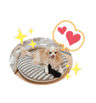 愛犬達のスローディズ4（個別スタンプ：2）