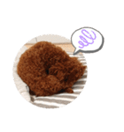 愛犬達のスローディズ4（個別スタンプ：3）