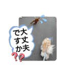 愛犬達のスローディズ4（個別スタンプ：25）