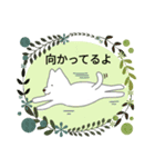 白い犬とねこ（個別スタンプ：4）