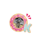 トイプードルのふうちゃんスタンプPart3（個別スタンプ：8）